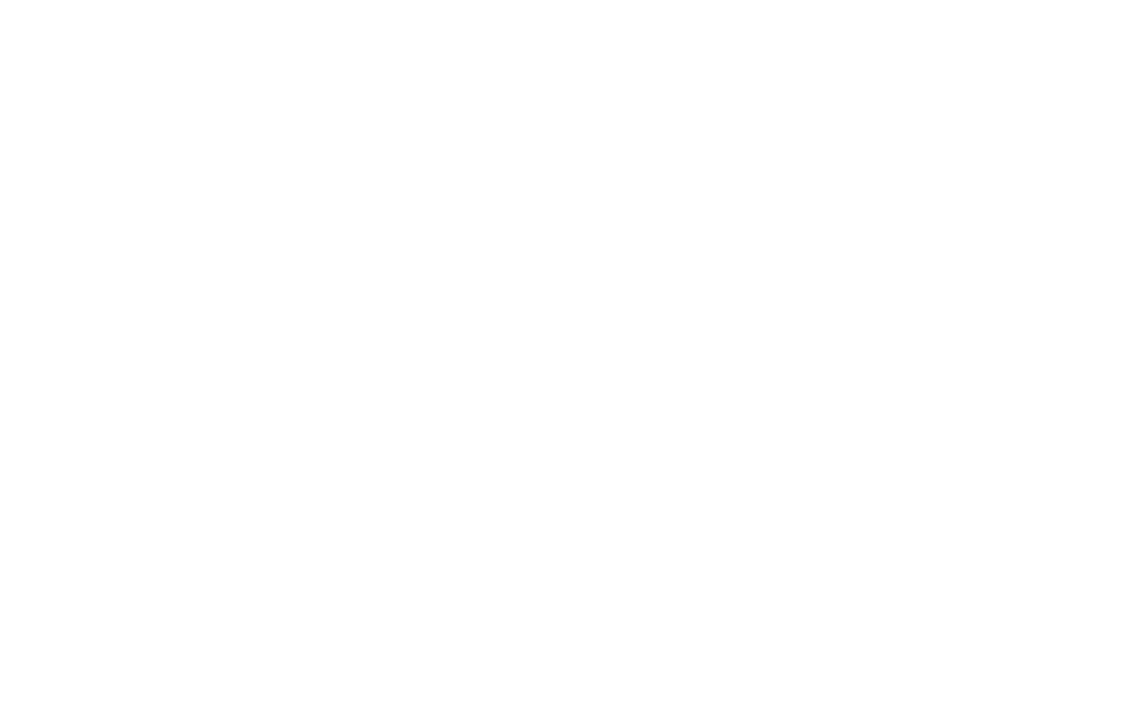 Lions Burger Düsseldorf- Oberbilk - Hausgemachte Burger, Frites und Limonaden